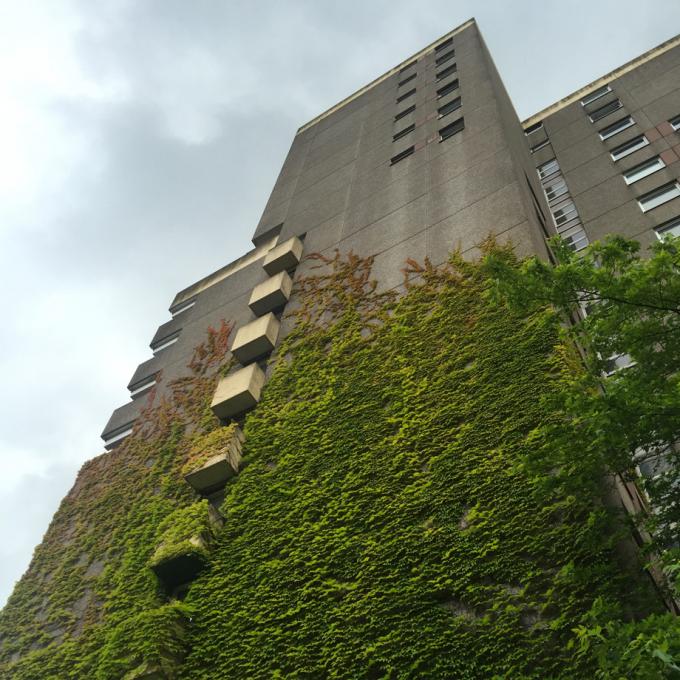 Bochum Hustadt. Foto: Kerem Halbrecht Bochum Hustadt
